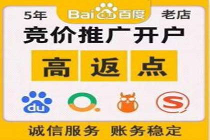 竞价推广公司案例揭秘：如何利用数据分析提升广告效果